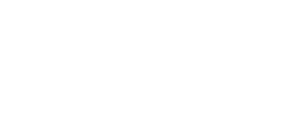 PBN Global logo